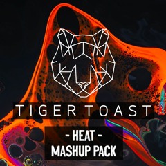 Tiger Toast 'Heat' Mashup Pack (2021) [15 Tech House BANGERS!!]