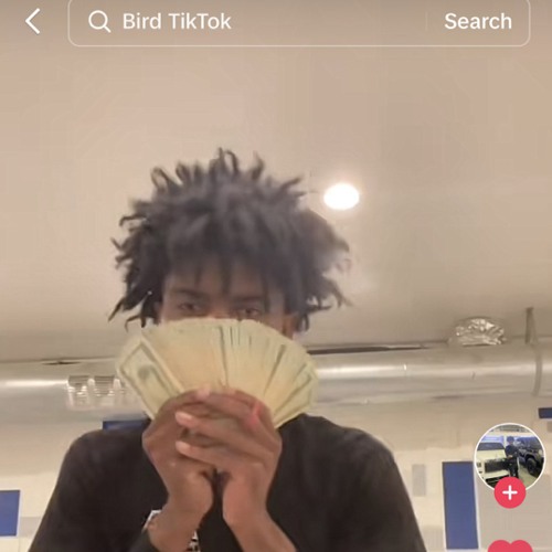 Li Birdy Rapper Stream 220 Lil Birdie - KILL A NIGGA GANG by slimerisk | Listen online ...
