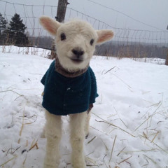 kam * kho ~ wreckdawraith (#thulu)