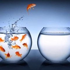 Exit Strategy *