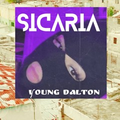 Sicaria Young Dalton