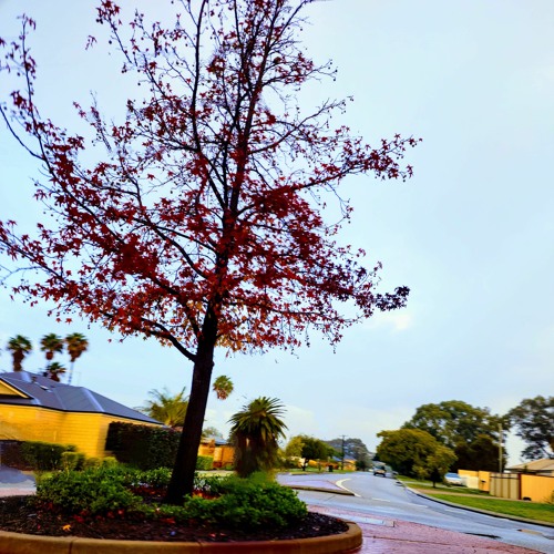 KALEiDOSCOPES {DiViNE DEMiX} [prod.symphonies]