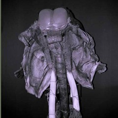 Défense du Masque Ulin | David Noir