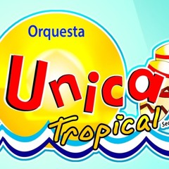 Mix La Unica Tropical 2024 (Partido En Dos, Vuelve Conmigo, Poeta , etc) - DJ JUANCHO
