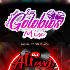 Marimba Orquesta Los Golobios Mix