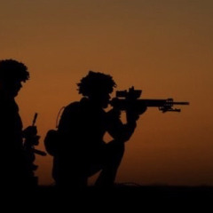 No Death  暗い自然  Signals of Unknown Futures