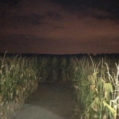 Night Way