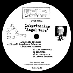WeMe313.23 Labyrinthine - Angel Wars - A3 "Calicem Haeresis"