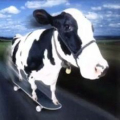 cash cow (lain)