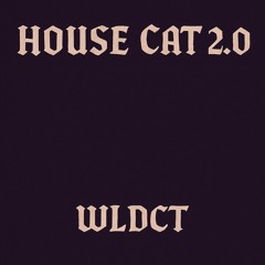 House Cat 2.0