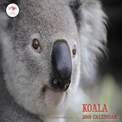 [Get] KINDLE 💞 Koala 2018 Calendar: Calendar 2018 Koala Bears Mini 8.5 x 8.5 12 Mont