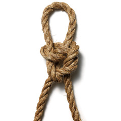 KNOTS