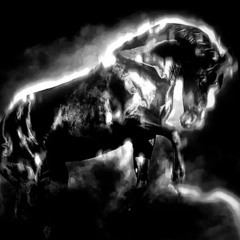 DARK HORSE