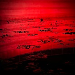 crimson morning 1119 - 11:19:22, 8.14 PM