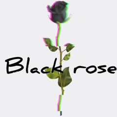 04 BLACKROSE