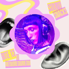 Sound Snacks Bite 013- DJ MeowMeowMeow
