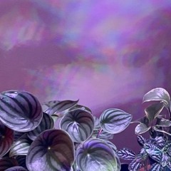 Fused Grooves