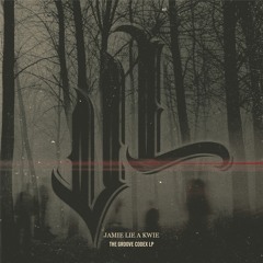 PREMIERE: Jamie Lie A Kwie - In Arts [VL Recordings]