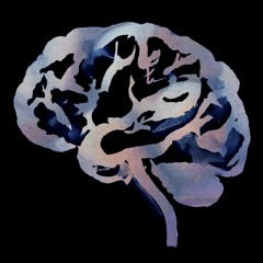 RUINS - Brain Flakes LP promo (excerpts)