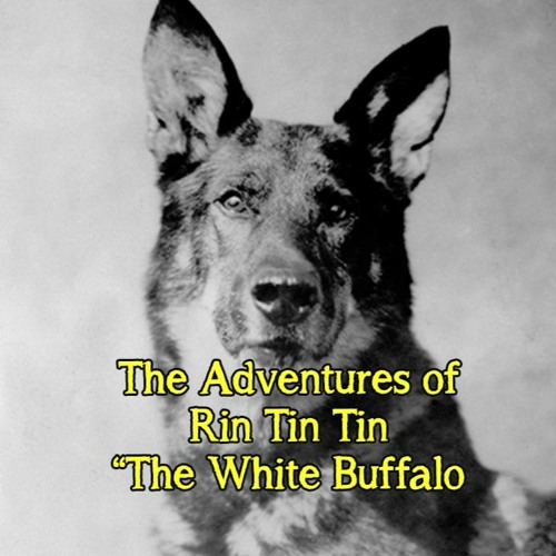 The Adventures of Rin Tin Tin - The White Buffalo -  Nov. 25, 1955 - Western Adventure