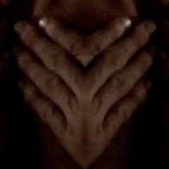 Melody For A Little Bird