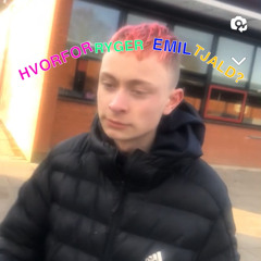 hvorfor ryger emil tjald