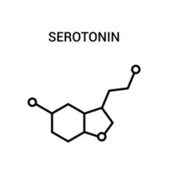 SEROTONIN 2(progressive) The world is different from what they want you to believe
