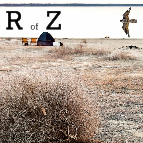 Rhythm of Zens (BirdyV2)