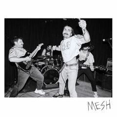 MESH (Single)