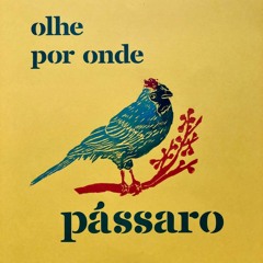 olhe por onde pássaro