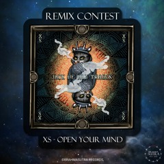 XS - Open Your Mind (Mesmerist Remix)