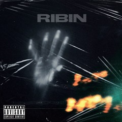 DIEUBSTIL #3 - 'RIBIN'