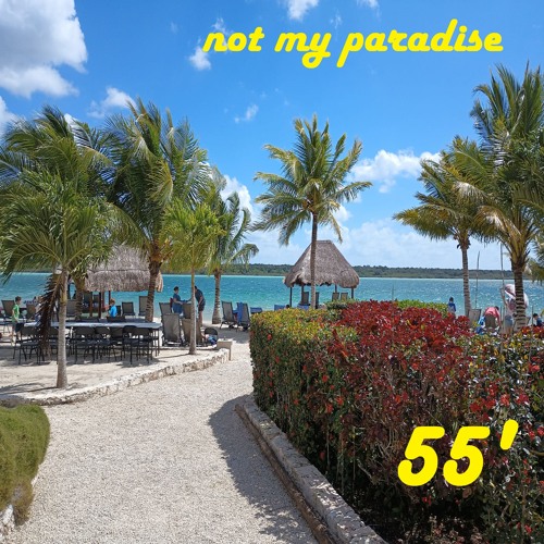 THE WAY IT IS - 55'