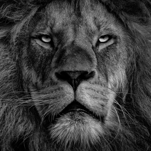 Melodic Techno/Progressive House Mix | The King