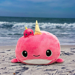 Narwhal Beach - Lofi