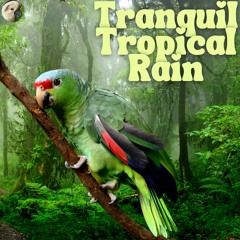 Tranquil Tropical Rain Birds