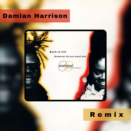 Soul II Soul - Back To Life (Damian Harrison Remix)
