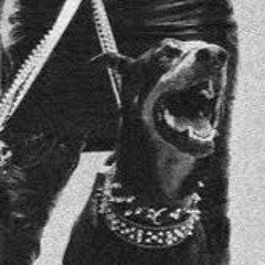 Travis $coTT-RoTTI BuGATTI (tagged) .142