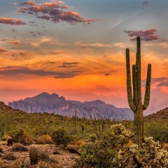 What Are The Top Benefits Of Working With An Arizona - Based App Development Firm