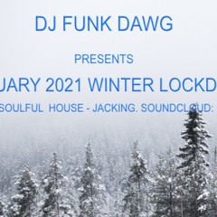 FEBRUARY 2021 WINTER LOCKDOWN FUNK DAWG