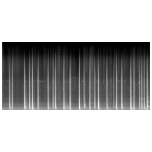 Aircraft Noise from Southeast Queens