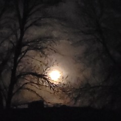 11:30pm