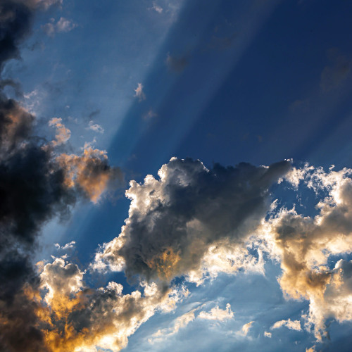 electric soul - september 2025