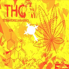 THC (Yerbby Y2K Essentials Drumkit Promo)