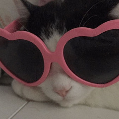 ánh sao và bầu trời-speed up