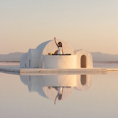 Wild Flow – Vinyasa Class Yoga Mix (1h30)