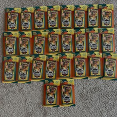 2021 p. (everydaysinner)