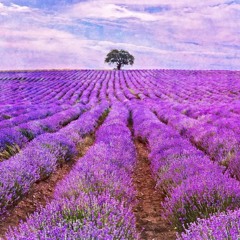 {TruffleFungus} *SOLD*