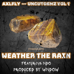 WEATHER THE RAIN ft. NDO (Prod by WNDOW)
