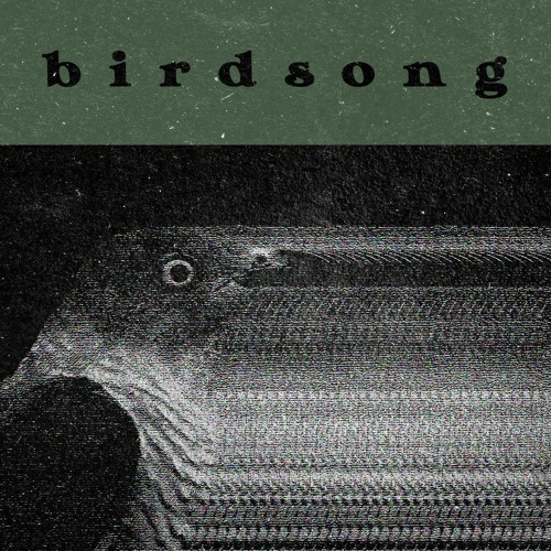 Birdsong